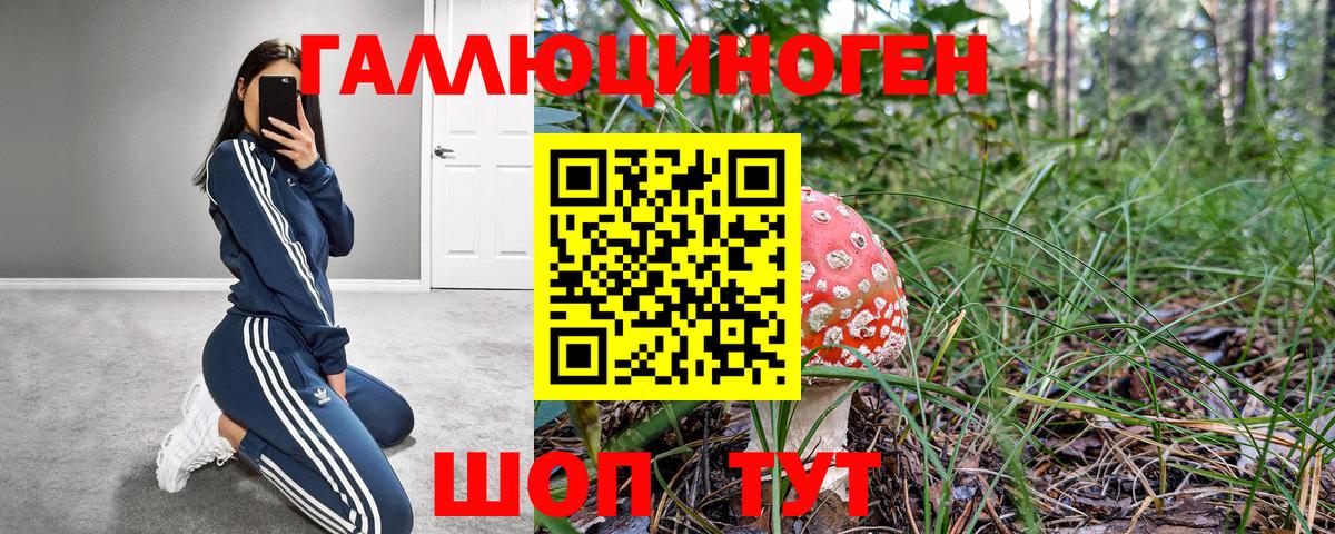 Псилоцибиновые грибы GOLDEN TEACHER Петропавловск-Камчатский