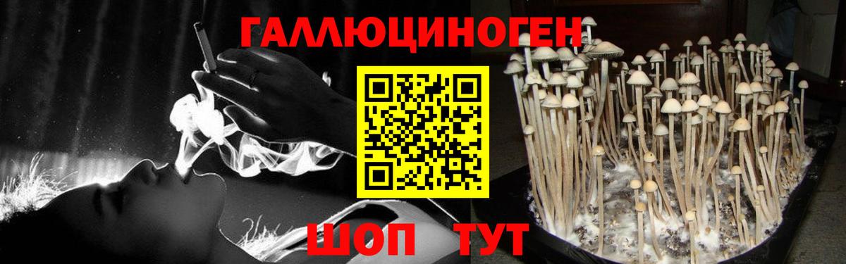 Петропавловск-Камчатский  Галлюциногенные грибы Cubensis  Вход с VPN  магазин  наркотиков  Псилоцибиновые грибы Psilocybine cubensis 
